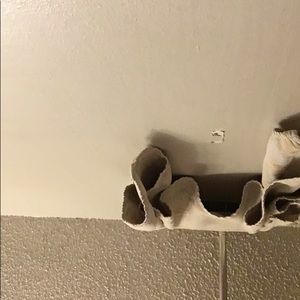 Meet your Posher, Steve